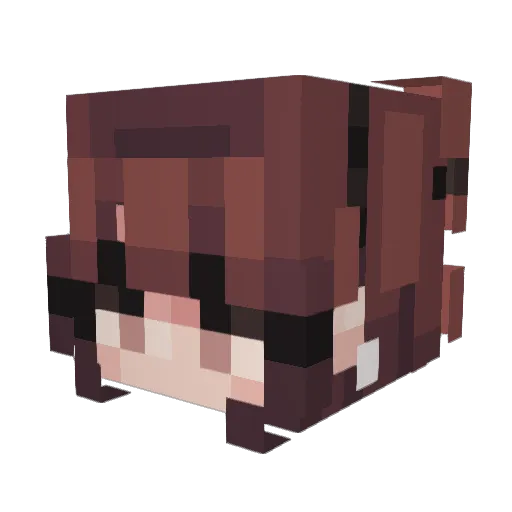 Etoile09 Minecraft avatar head, 3D render