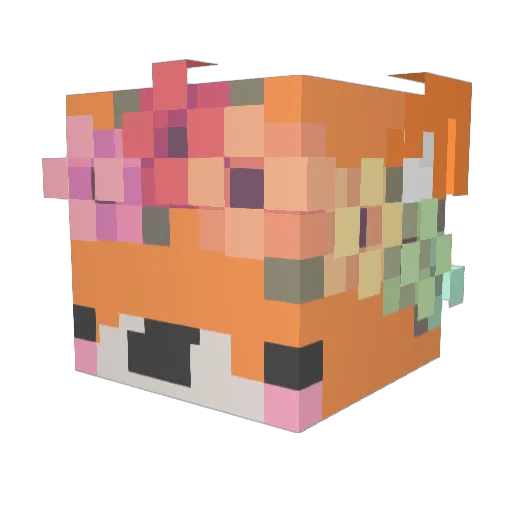 EtoileFiilante Minecraft avatar head, 3D render