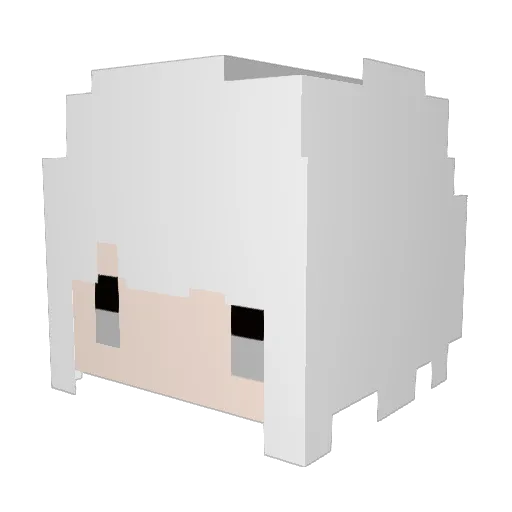 EtpiQ Minecraft avatar head, 3D render