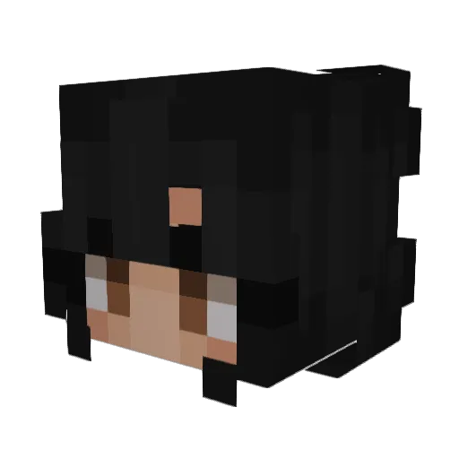 EtreSuperieur Minecraft avatar head, 3D render