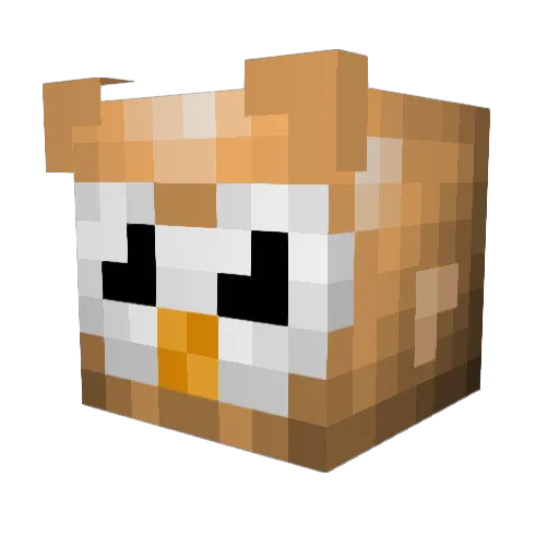 EtwahlWielder Minecraft avatar head, 3D render