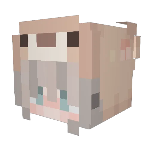 EtwasSchuechtern Minecraft avatar head, 3D render