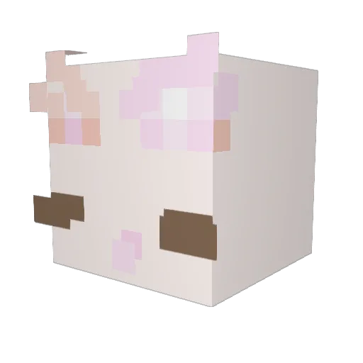Etylan Minecraft avatar head, 3D render