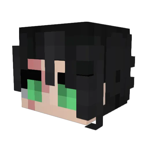 EuCarPet Minecraft avatar head, 3D render