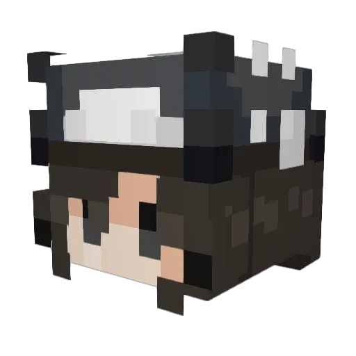 EuClaire Minecraft avatar head, 3D render
