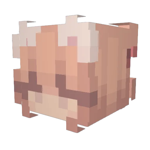 Euanhally Minecraft avatar head, 3D render