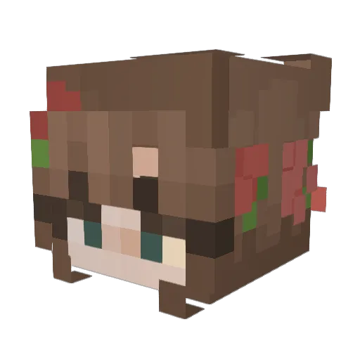 EucalyptusCece Minecraft avatar head, 3D render