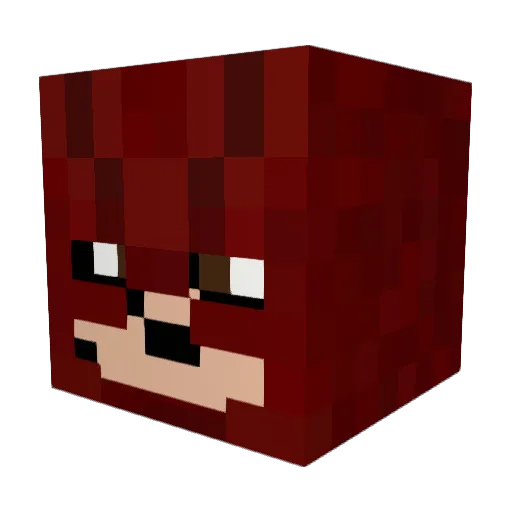 Eugeniusz1 Minecraft avatar head, 3D render