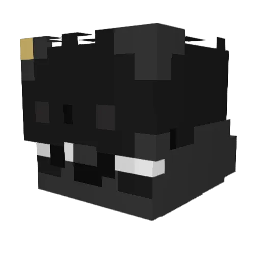 Euguinn Minecraft avatar head, 3D render