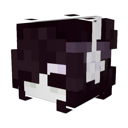 Euior Minecraft avatar head, 3D render