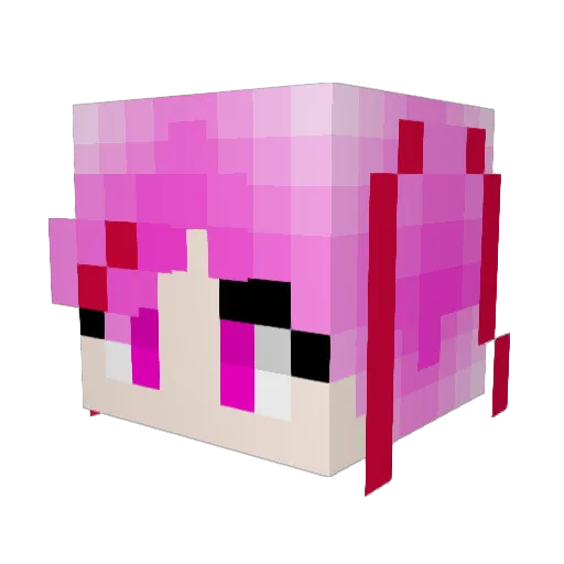 Euler_2718 Minecraft avatar head, 3D render
