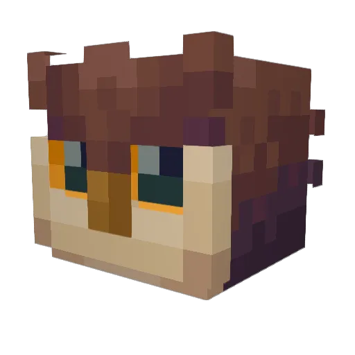 Eulerich420 Minecraft avatar head, 3D render
