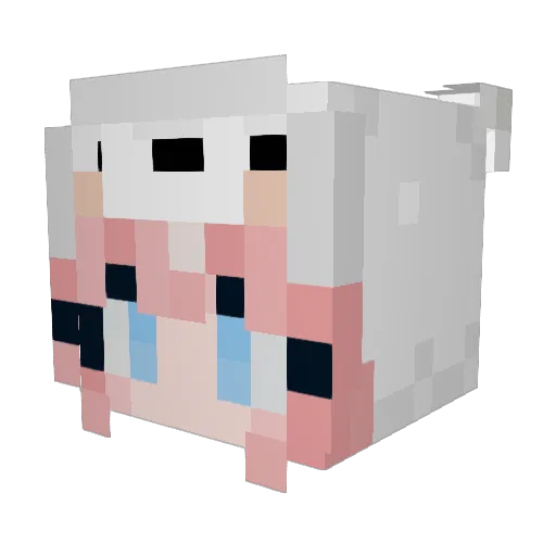 Eun19 Minecraft avatar head, 3D render