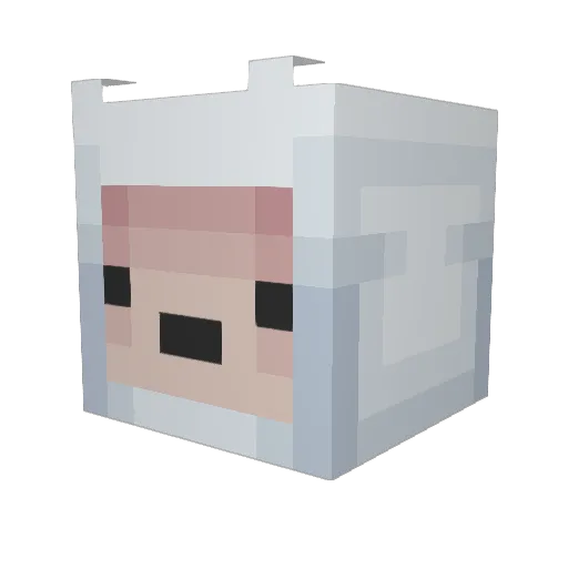 Eun_S2 Minecraft avatar head, 3D render