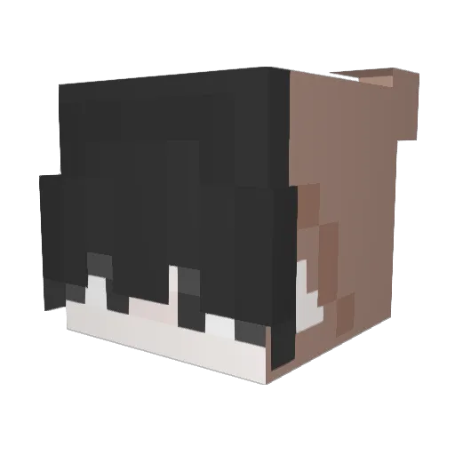 Euna0213 Minecraft avatar head, 3D render
