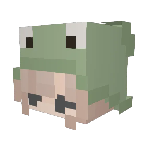 Eunaemaemae Minecraft avatar head, 3D render