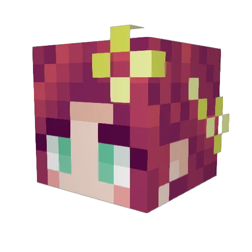 EunoicSamDroid Minecraft avatar head, 3D render