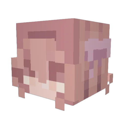 EuphMC Minecraft avatar head, 3D render