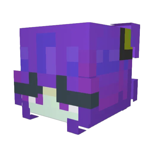 Euphoria112 Minecraft avatar head, 3D render