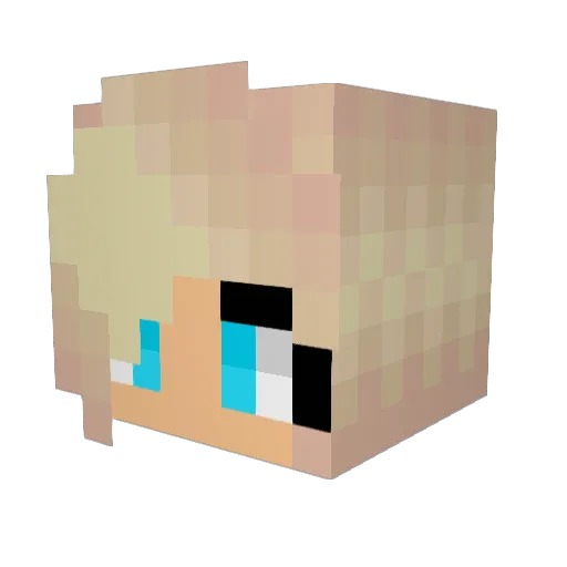 Euphoria_Design Minecraft avatar head, 3D render