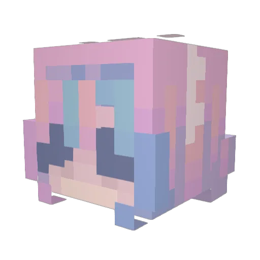 Euphoriack Minecraft avatar head, 3D render