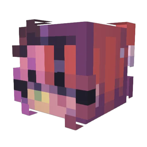 Euphoricdarling Minecraft avatar head, 3D render