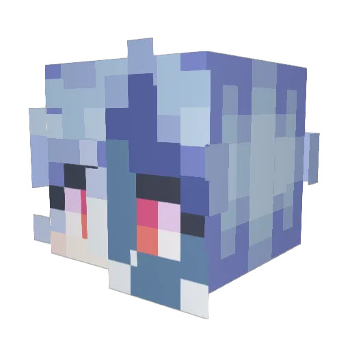 Euphoricfilth666 Minecraft avatar head, 3D render
