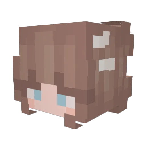 Eupnea Minecraft avatar head, 3D render