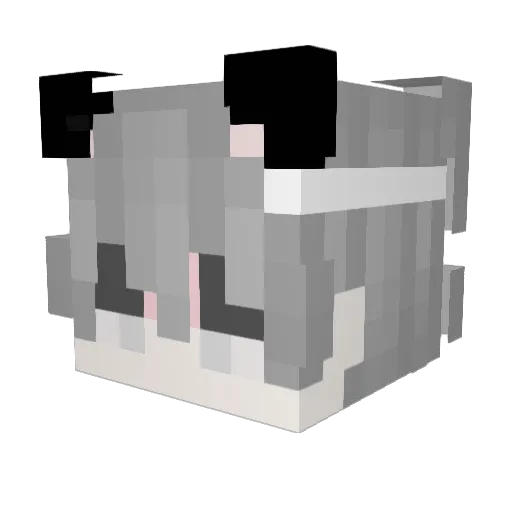 Eureka_H Minecraft avatar head, 3D render
