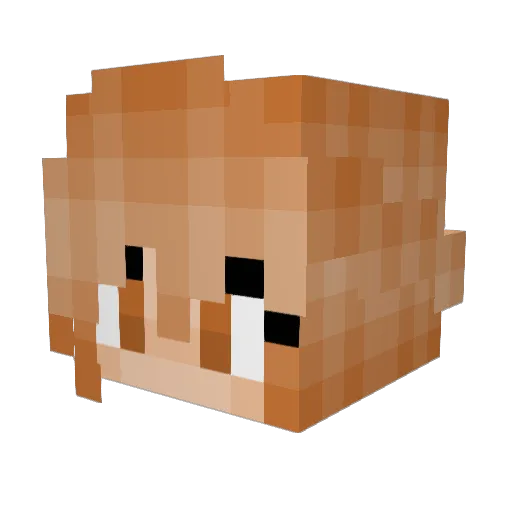 EuroBrittany Minecraft avatar head, 3D render