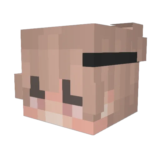 Eurthera Minecraft avatar head, 3D render
