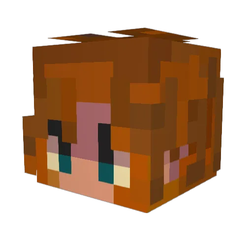 Eurticaire Minecraft avatar head, 3D render