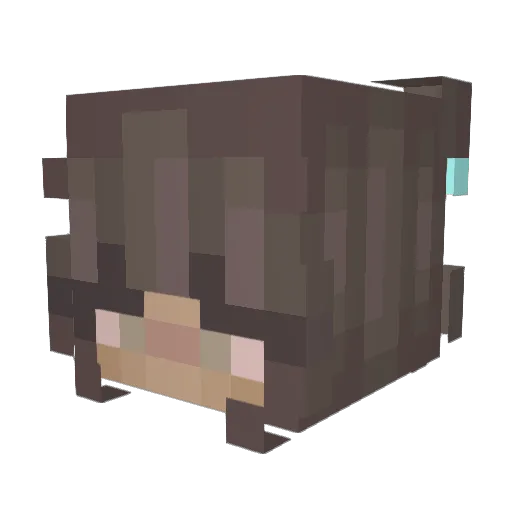Eusamm Minecraft avatar head, 3D render