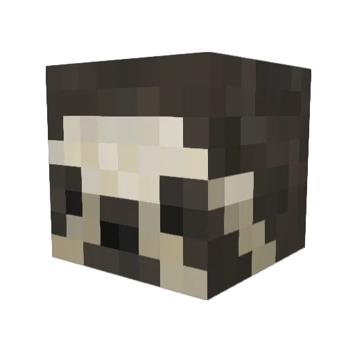 Eutos Minecraft avatar head, 3D render