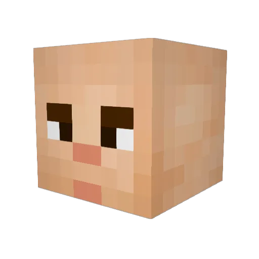 Euuhhhaaaa Minecraft avatar head, 3D render