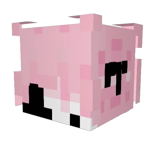 Euui Minecraft avatar head, 3D render
