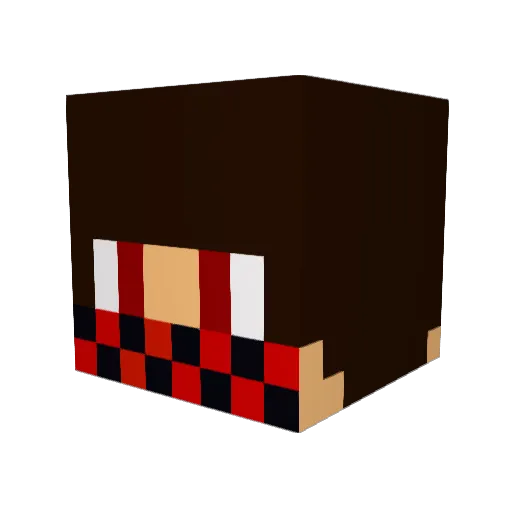 Euvoutepegar Minecraft avatar head, 3D render