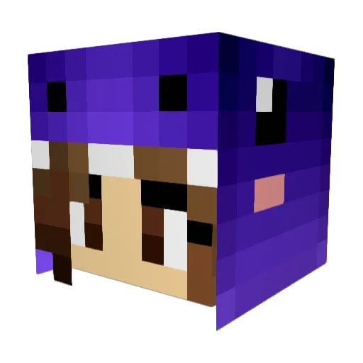 Ev0ra_ Minecraft avatar head, 3D render