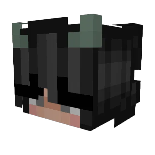 Ev126n Minecraft avatar head, 3D render