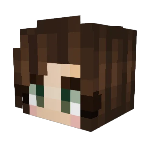 Ev3y Minecraft avatar head, 3D render