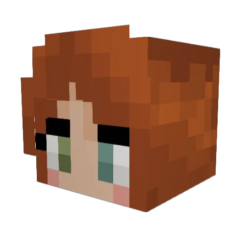 EvBev_ Minecraft avatar head, 3D render