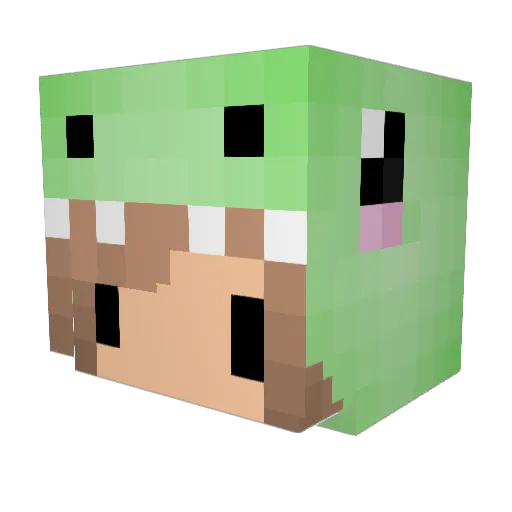 Eva1208 Minecraft avatar head, 3D render