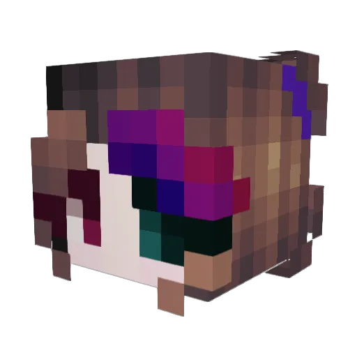 EvaCoolCat Minecraft avatar head, 3D render