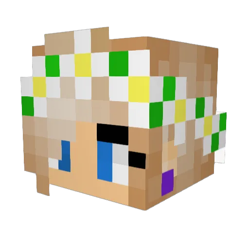 EvaElfie Minecraft avatar head, 3D render