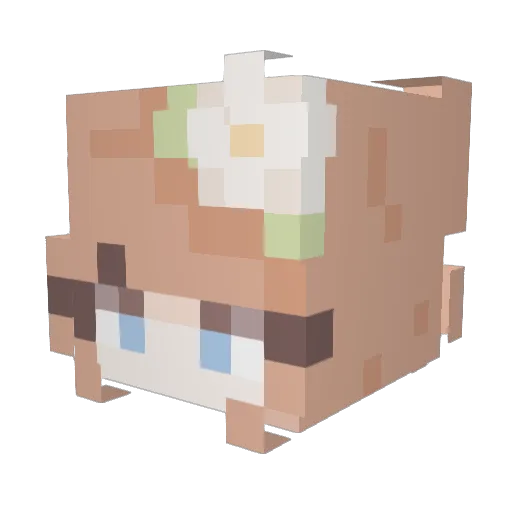 EvaEssence Minecraft avatar head, 3D render