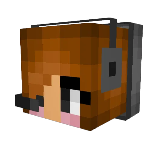 EvaKrogen Minecraft avatar head, 3D render
