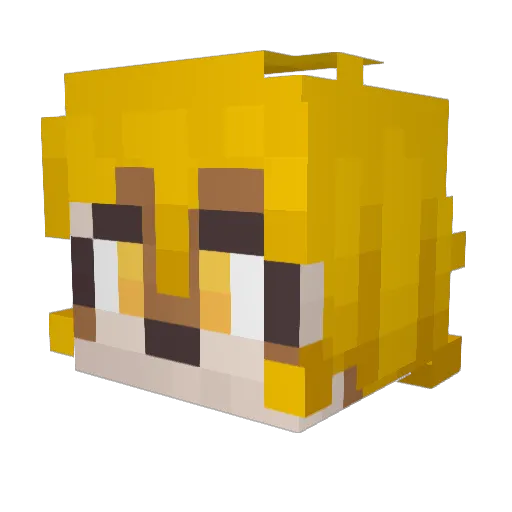EvaKrusader Minecraft avatar head, 3D render