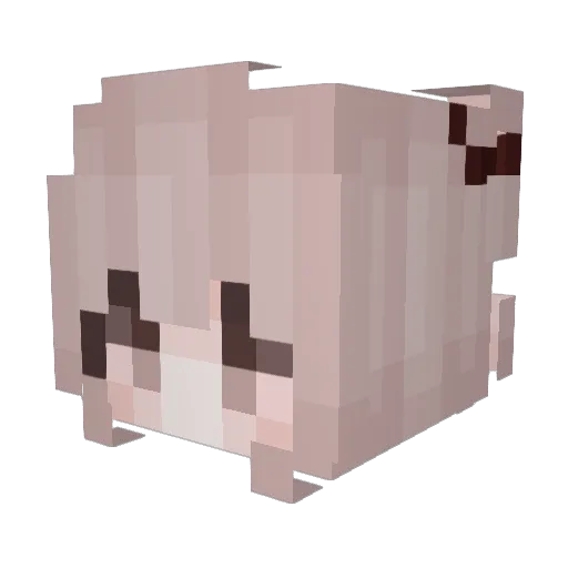 EvaQQ Minecraft avatar head, 3D render