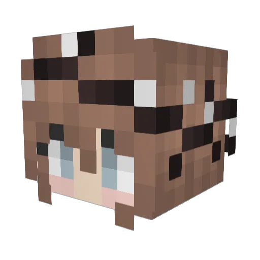 Eva_Stillinski Minecraft avatar head, 3D render
