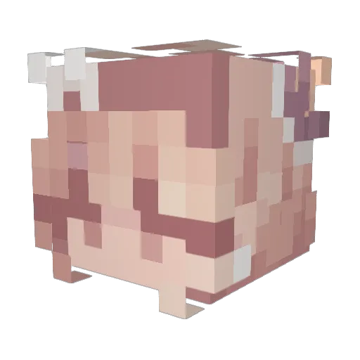 EvaanBoi2000 Minecraft avatar head, 3D render